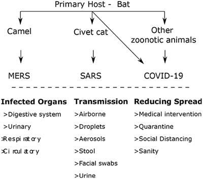 Frontiers | Detection Of COVID-19 Using Deep Learning Techniques And ...